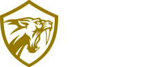 Taunt Games